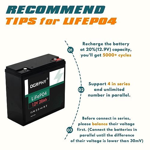 12V 100Ah LiFePO4 Battery with 100A BMS T293204