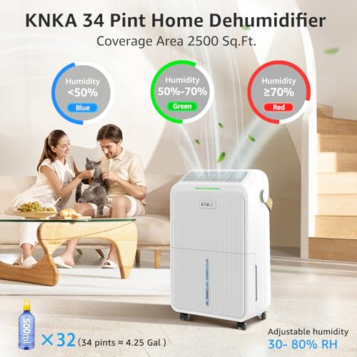 21 Pint Dehumidifier with Drain Hose W864