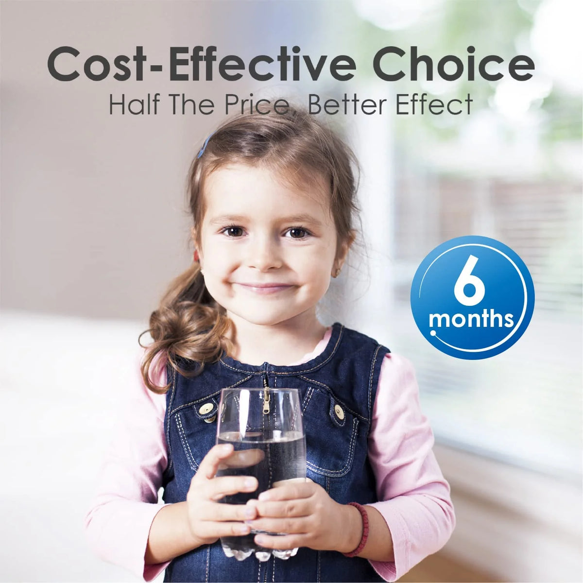 Refrigerator Water Filter 4 Pack T936