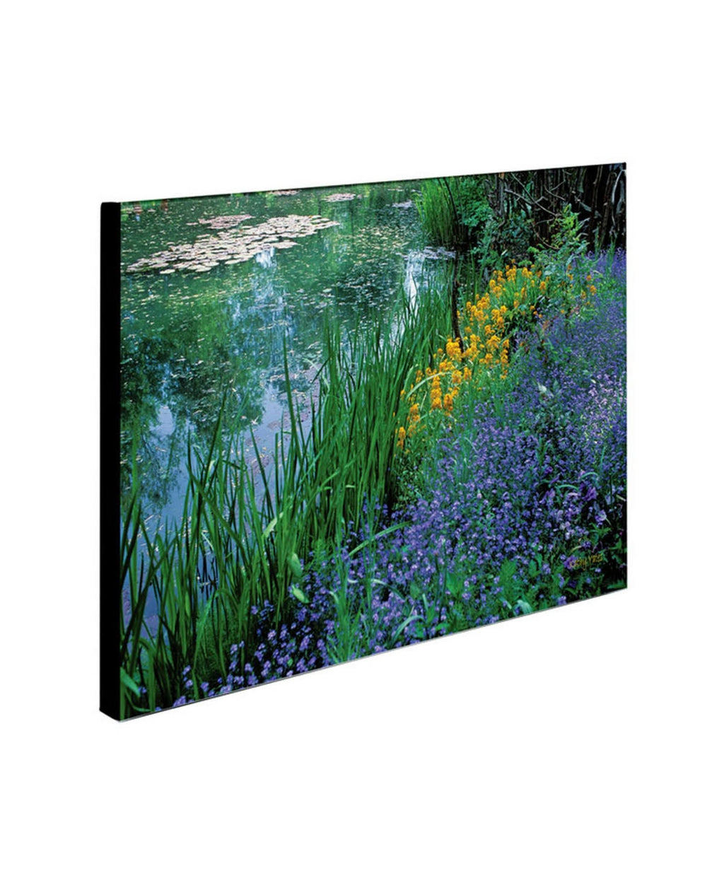 Canvas Art Q376