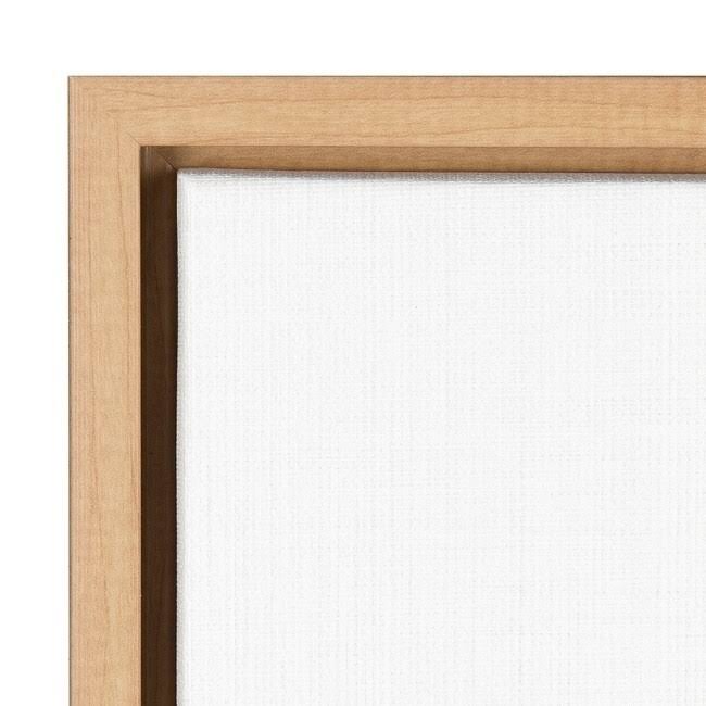 Canvas Art Framed White Shadow Black X102