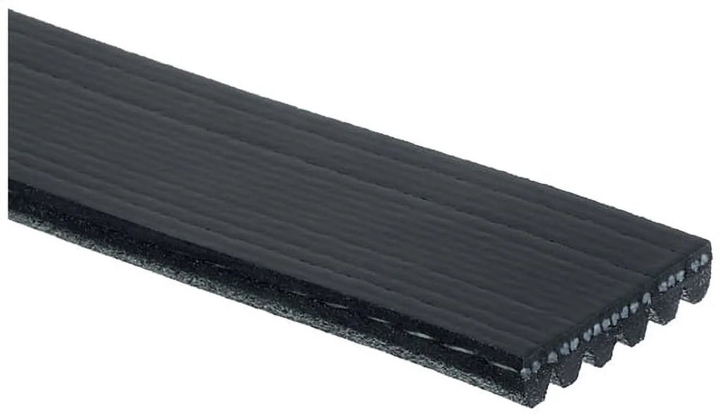 Serpentine Belt E1646