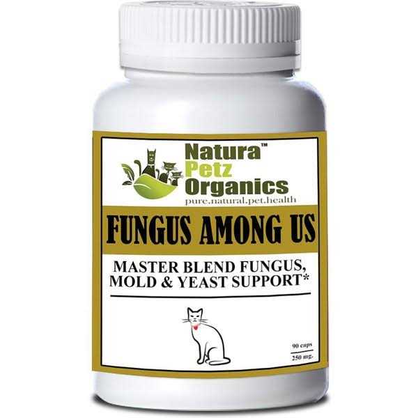 Capsules For Dogs And Cats U261