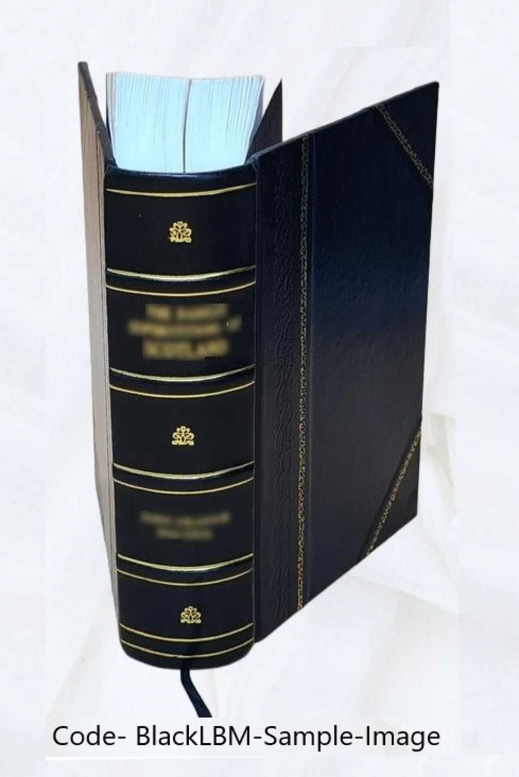 Leather Bound H653