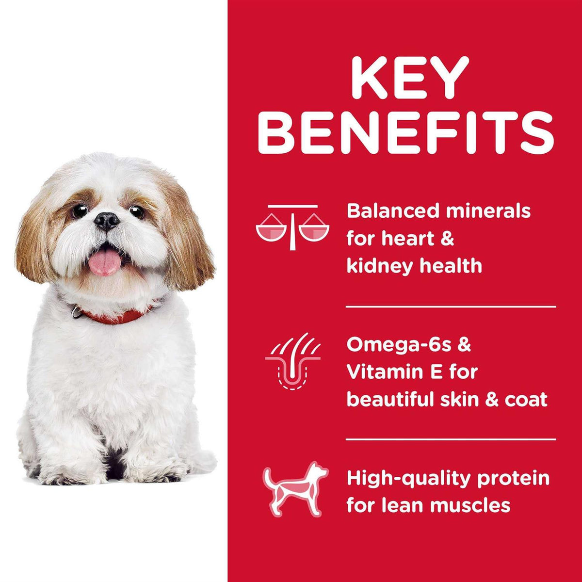 Adult 7+ Small Bites Chicken Meal Dry Dog Food C68402