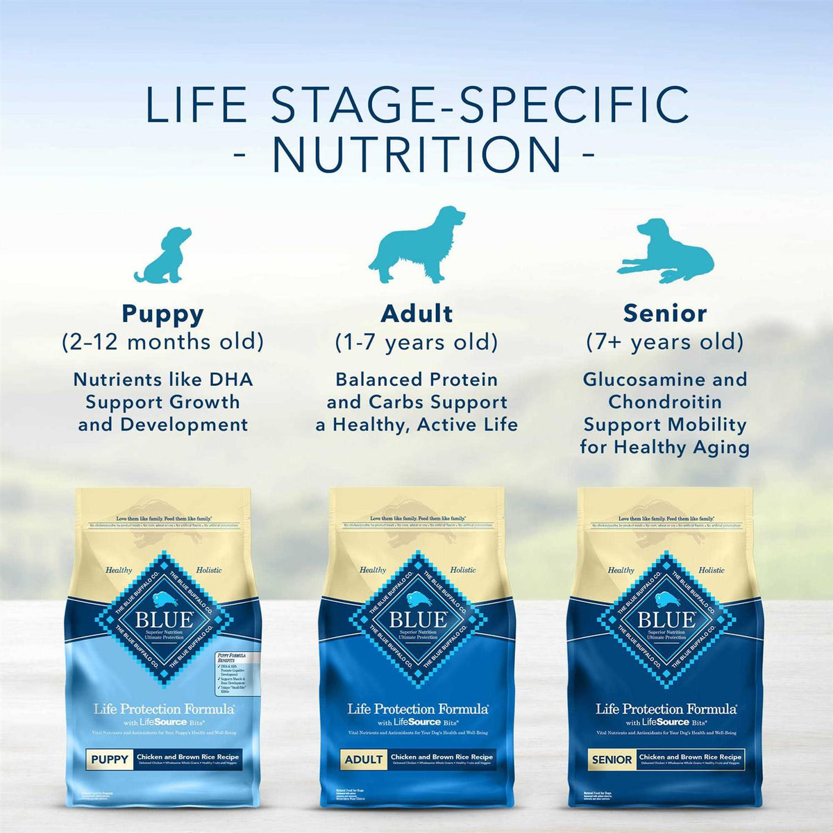 Dog Food Chicken and Brown Rice J884956