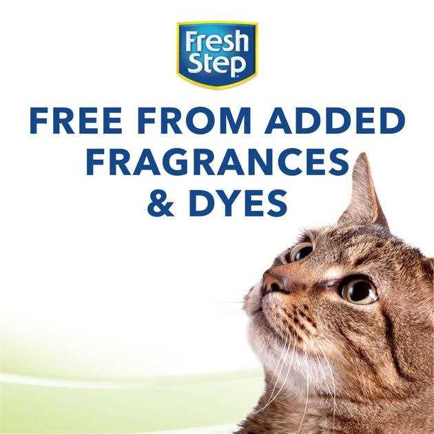 Clean Paws Unscented Clumping Cat Litter D4220