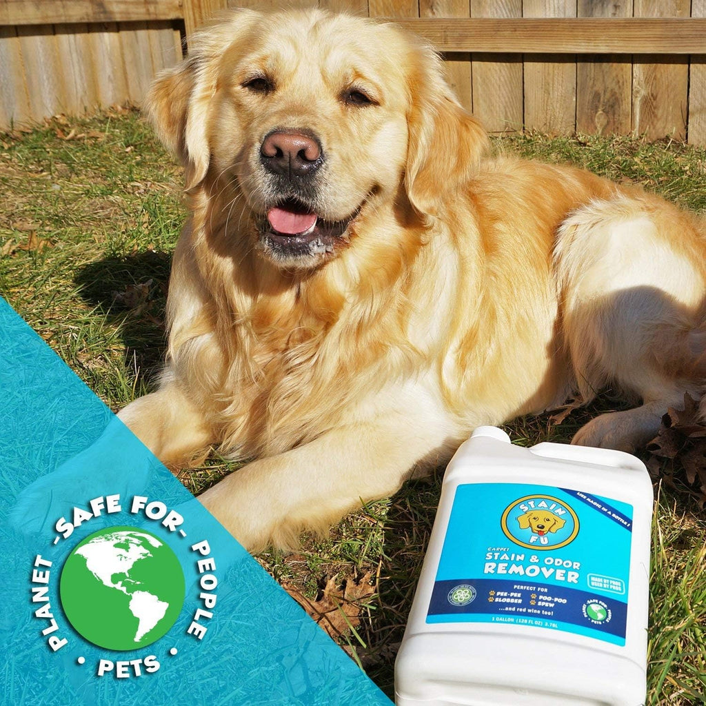 Pet Stain Odor Remover (1 Gallon) Pack of 2 Y911438