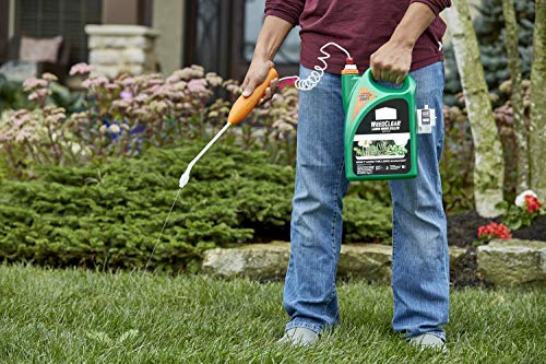 1.33 gal Lawn Weed Killer I283220