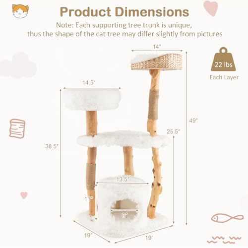 Solid Wood Cat Tree with Scratching Posts (34 Inch) E800622