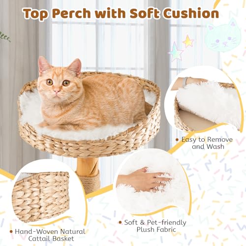 Solid Wood Cat Tree with Scratching Posts (34 Inch) E800622