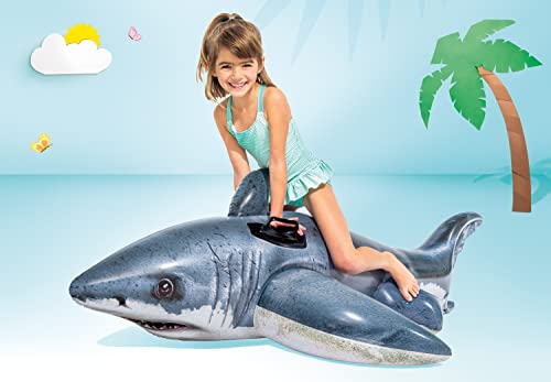Inflatable Pool Float Z864