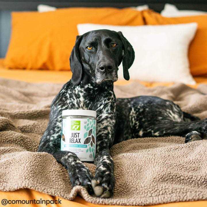 Herbal Calming Soft Chews R654628
