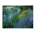Canvas Art Q376