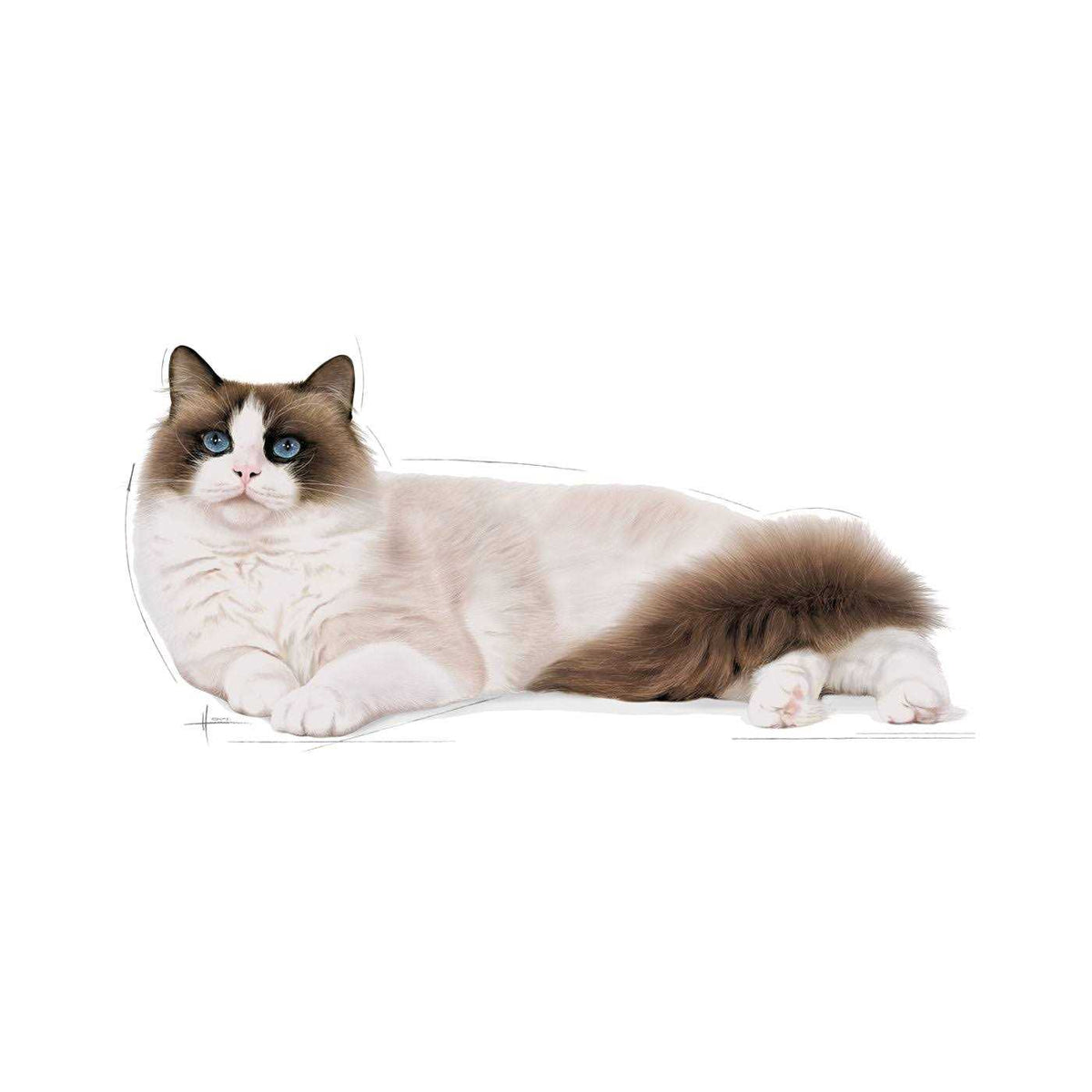 Adult Cat Food B478