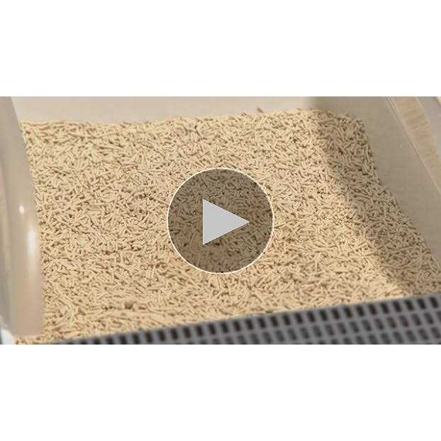 Tofu Cat Litter Clumping X938