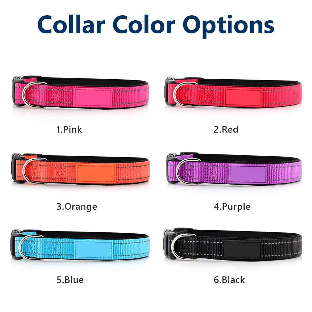 Reflective Nylon Dog Collar Y482157