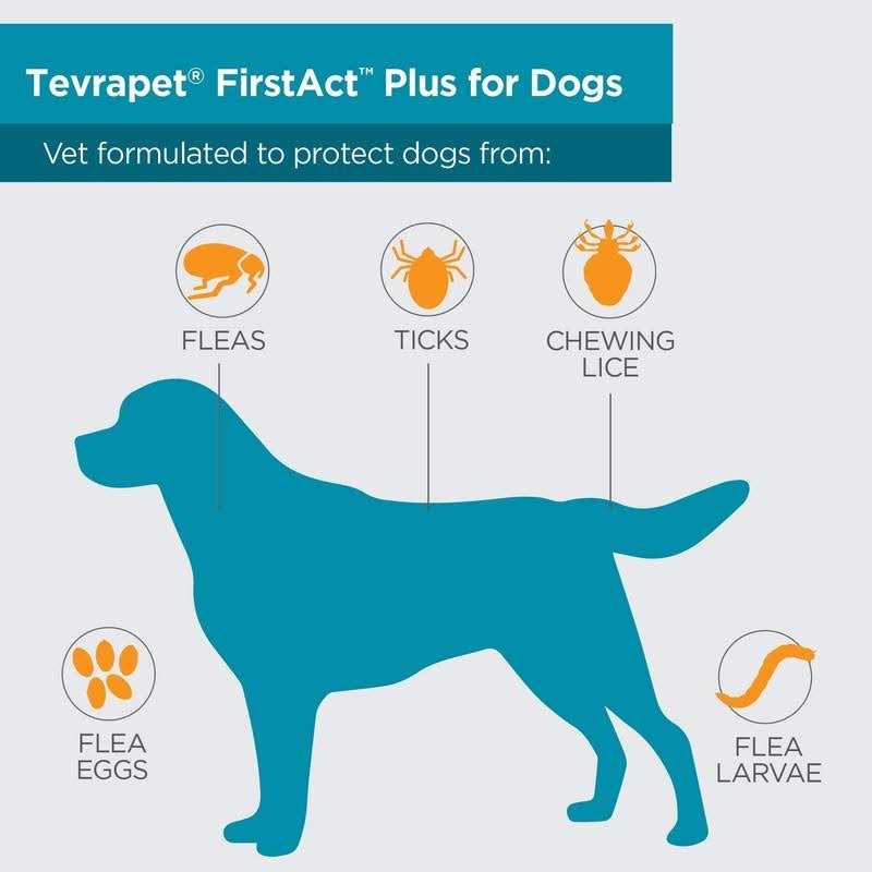 Flea and Tick Prevention Dogs G5029