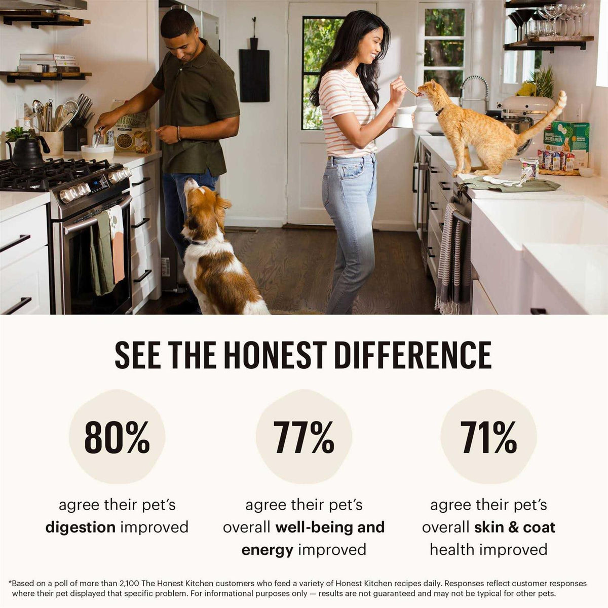 Dehydrated Grain Free Fruit & Veggie Base Mix Dog Food S197