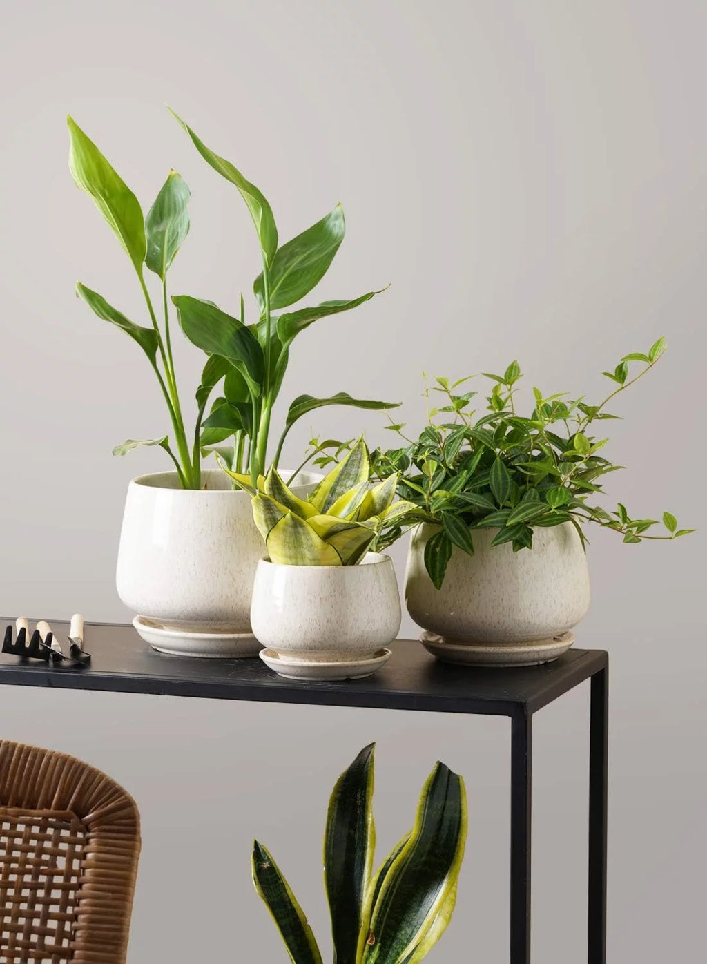 4.1+5.1+6.5 Inch Ceramic Plant Pots with Drainage Hole and Saucer, Set of 3, Beige Z734611