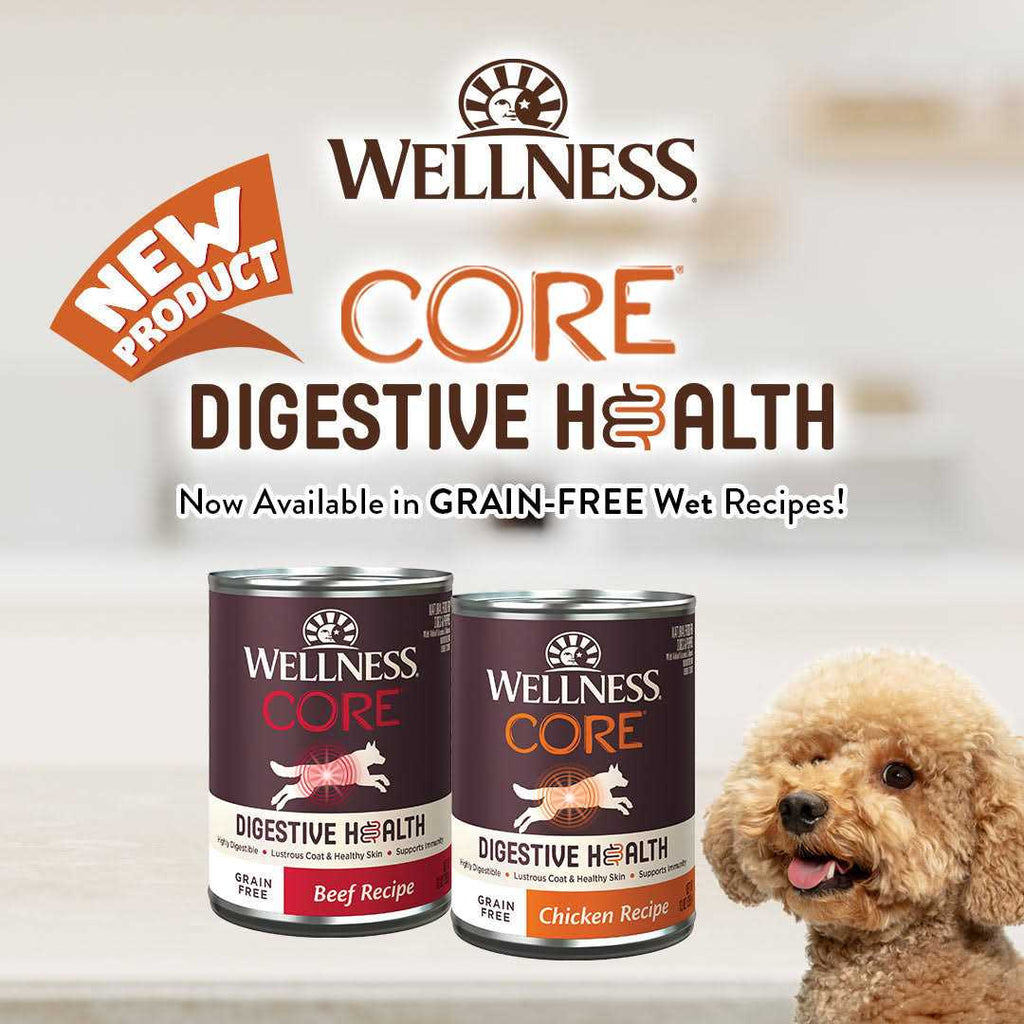 Grain Free Beef Wet Dog Food I84872