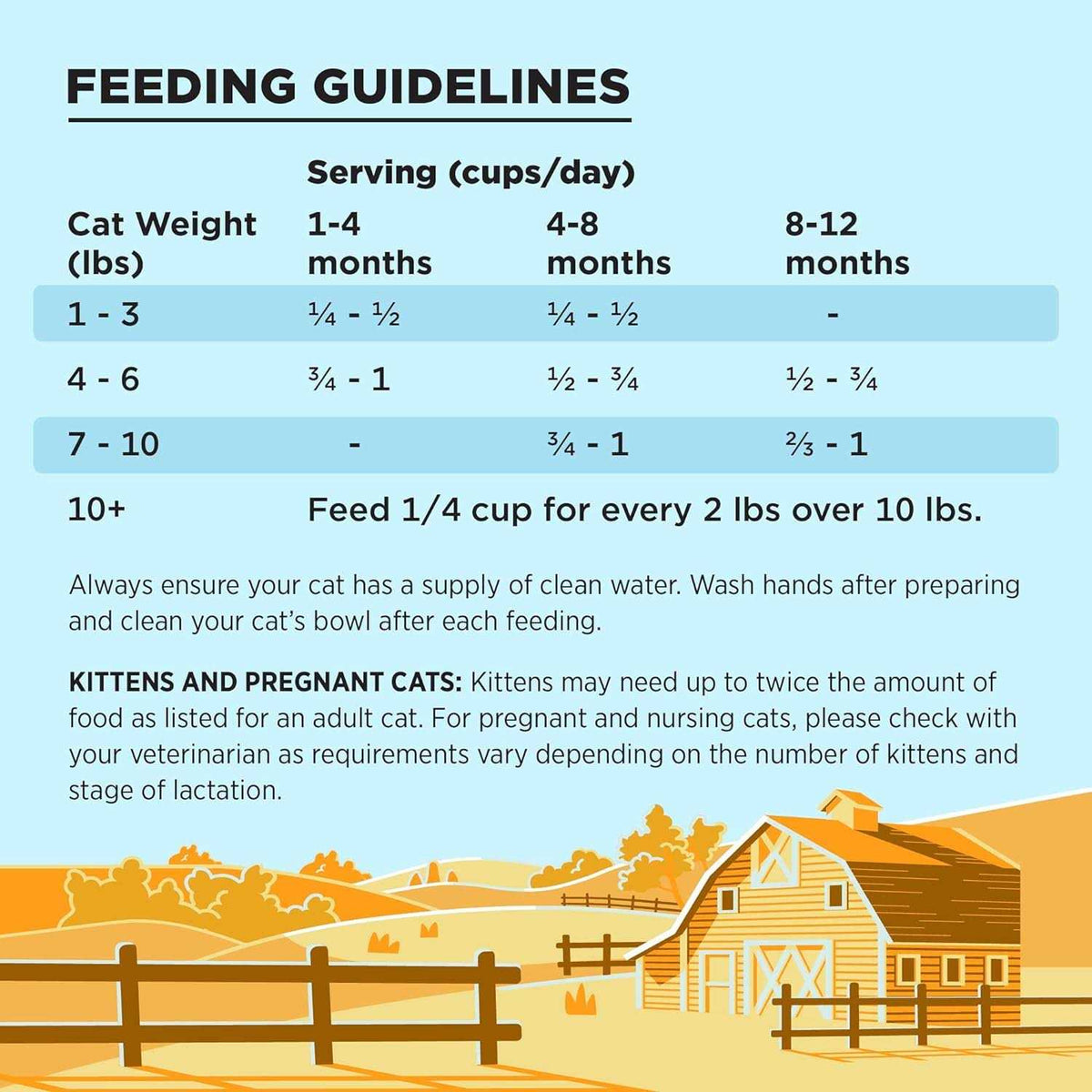 Chicken Recipe Dry Cat Food N967