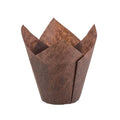 Brown Tulip Baking Cup U50850