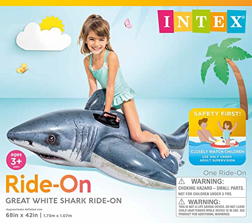 Inflatable Pool Float Z864