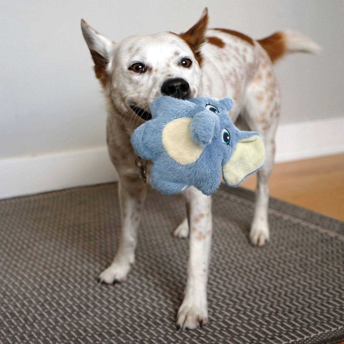 Bunny Dog Toy P135