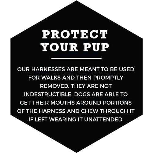 No-Pull Dog Harness L605
