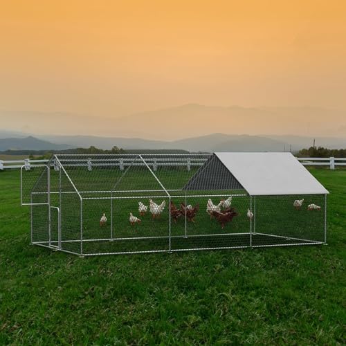 Large Walk in Metal Chicken Coop for 10 Chickens Z50552