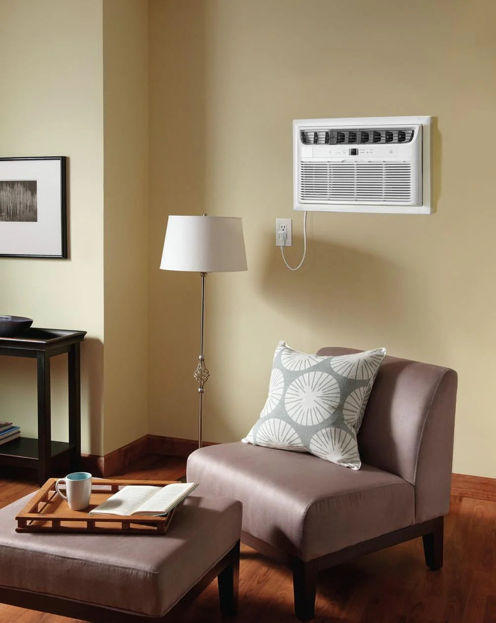 10,000 BTU Through-the-Wall Air Conditioner N2794