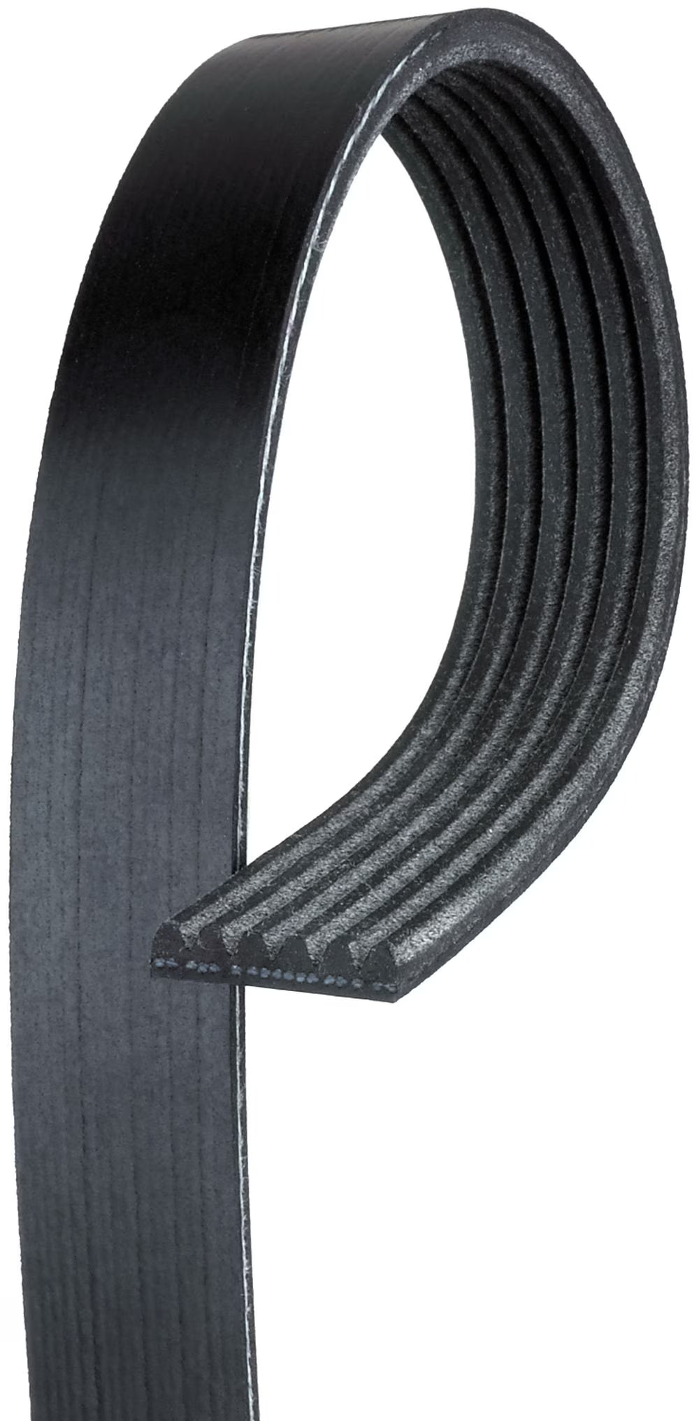 Serpentine Belt E1646