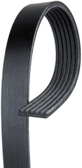 Serpentine Belt E1646