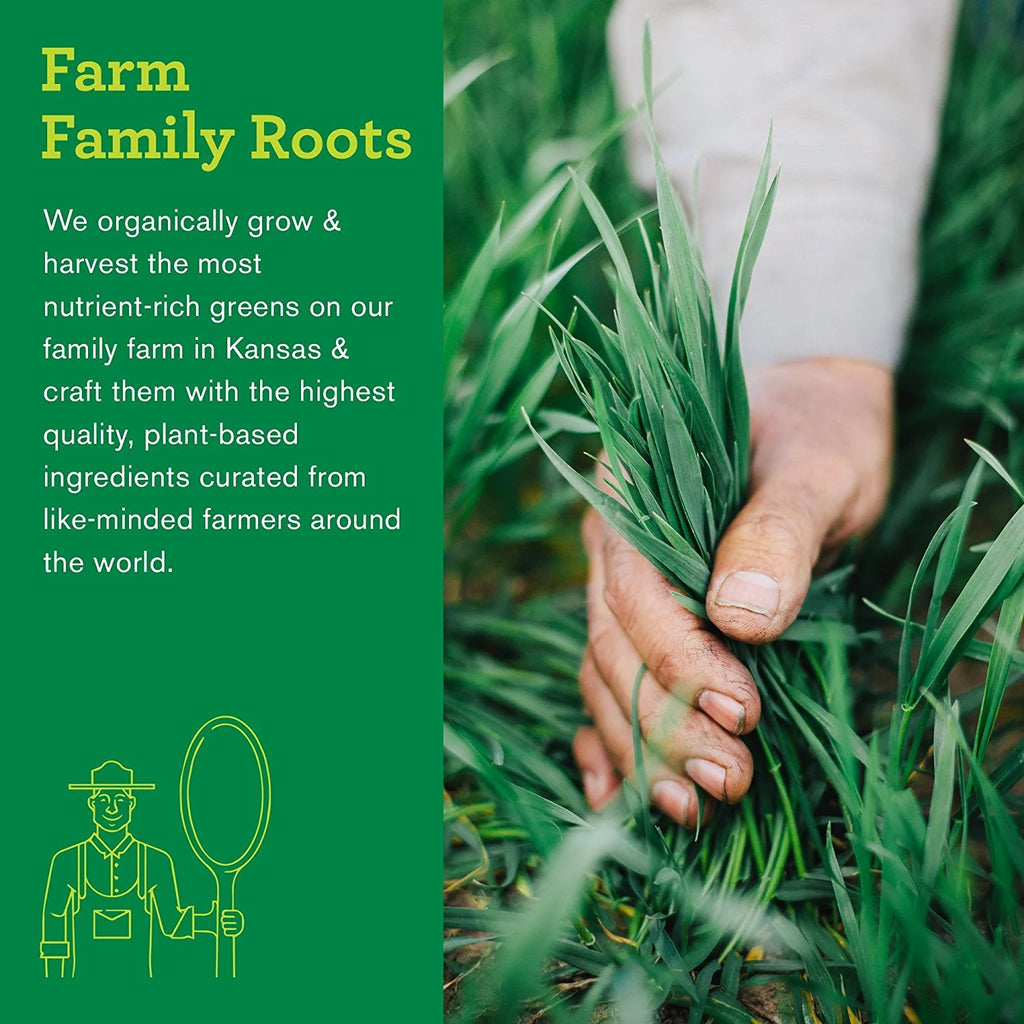Organic Kale Powder B809563