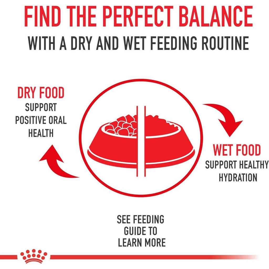 Adult Dry Dog Food M3317