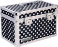 Black Medium Locking Storage Case with Dividers V224848