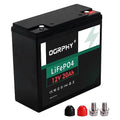 12V 100Ah LiFePO4 Battery with 100A BMS T293204