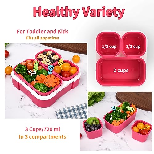 2 Pack 3-Compartment Bento Box Q53215