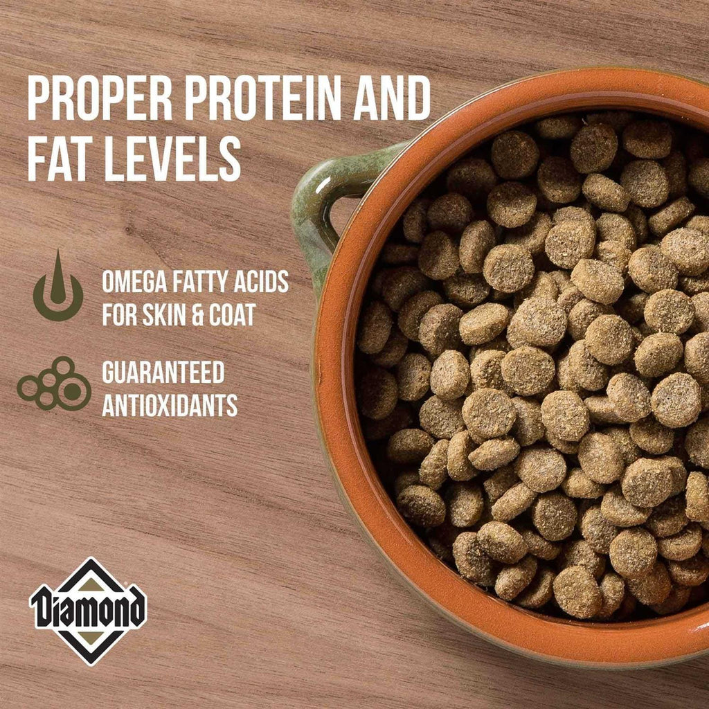 Dog Food P43028