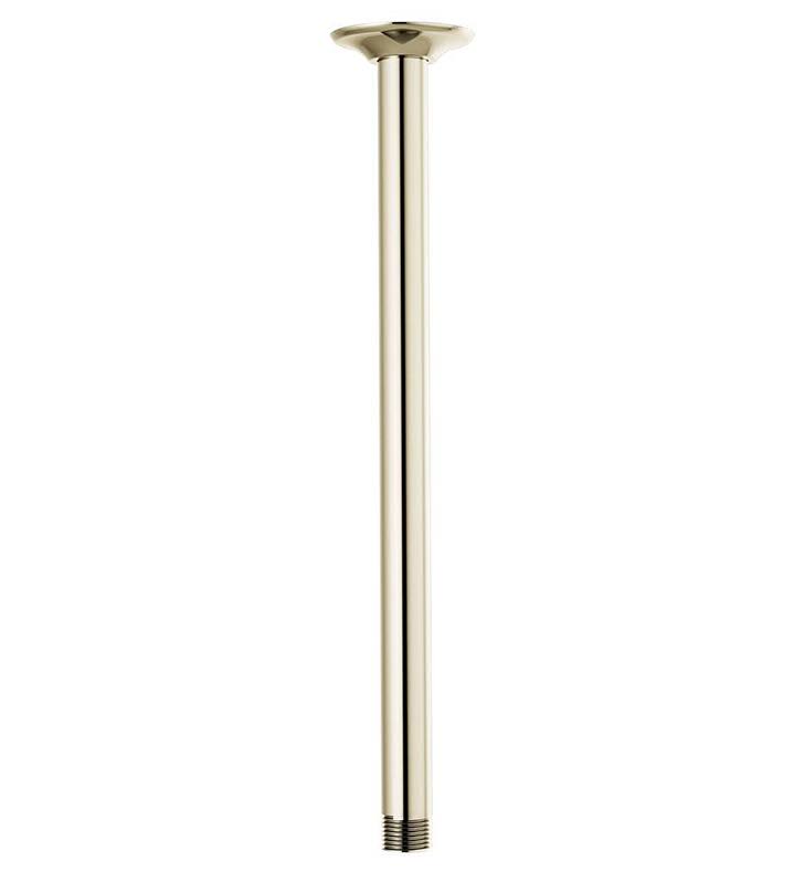Chrome Shower Arm and Flange A882688
