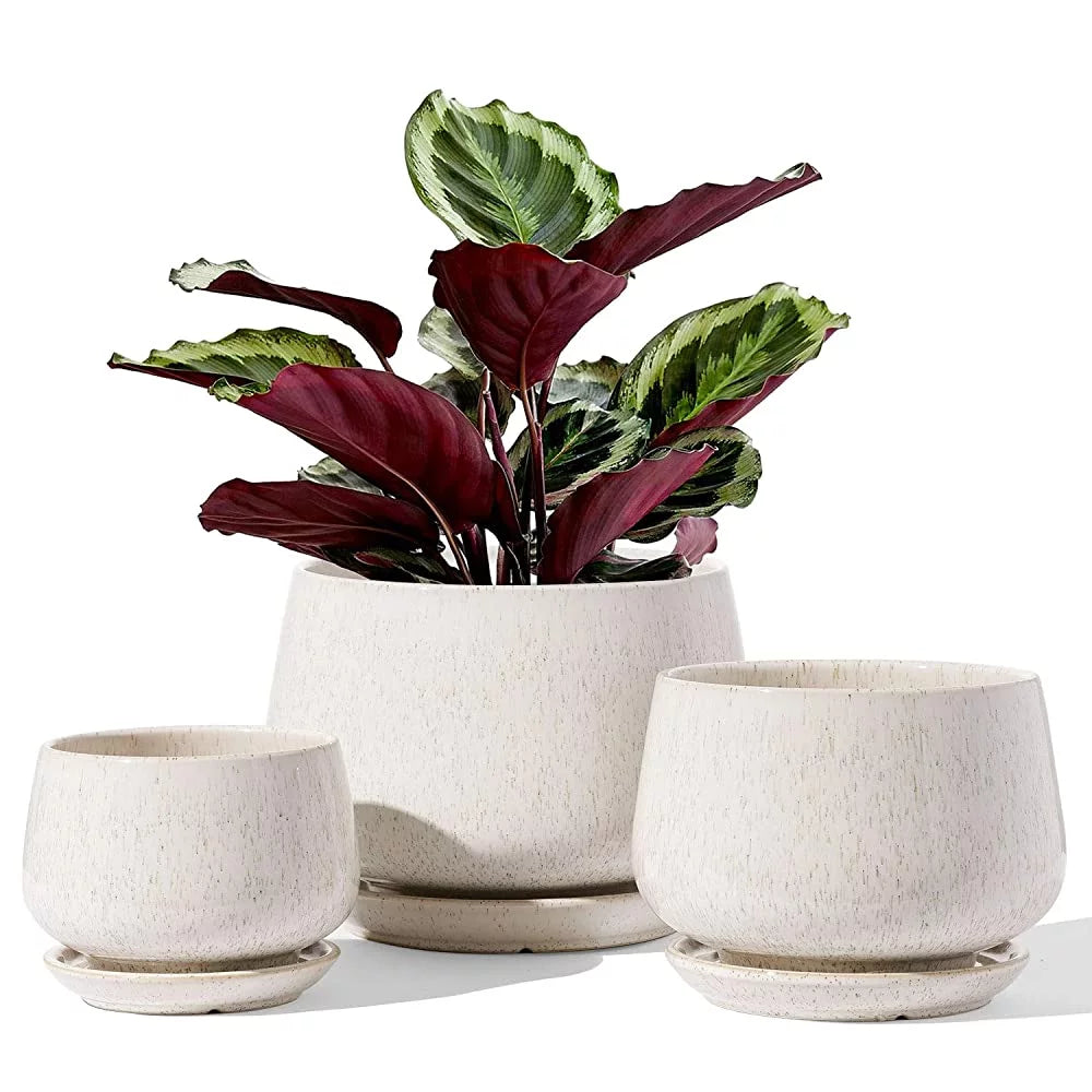4.1+5.1+6.5 Inch Ceramic Plant Pots with Drainage Hole and Saucer, Set of 3, Beige Z734611