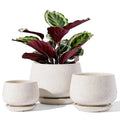 4.1+5.1+6.5 Inch Ceramic Plant Pots with Drainage Hole and Saucer, Set of 3, Beige Z734611