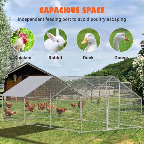 Large Walk in Metal Chicken Coop for 10 Chickens Z50552