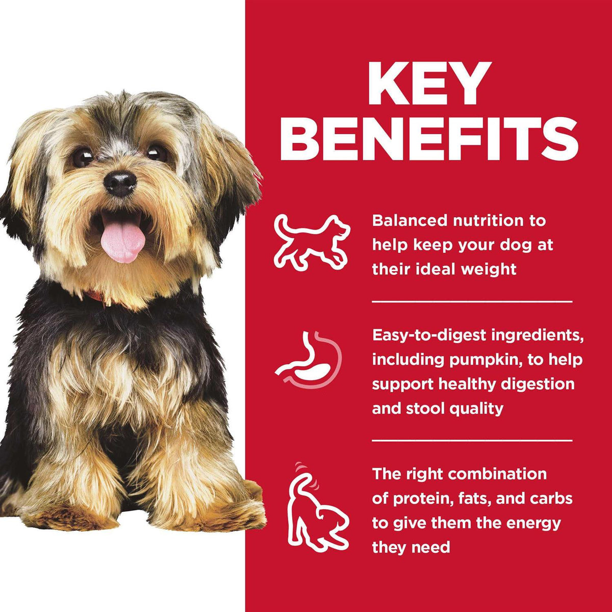 Wet Dog Food Variety Pack W76445