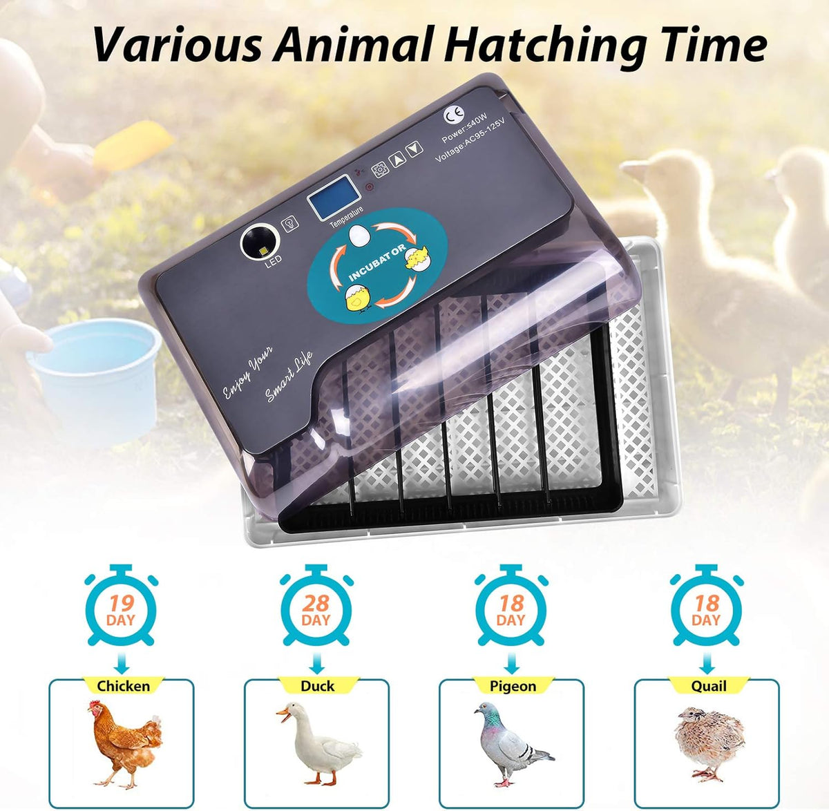 9-35 Digital Egg Incubator with Fully Automatic Turner, Humidity Control LED Candler Z474