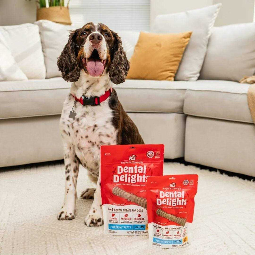 Dog Treats M16572