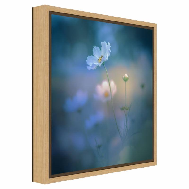 Canvas Art Framed White Shadow Black X102