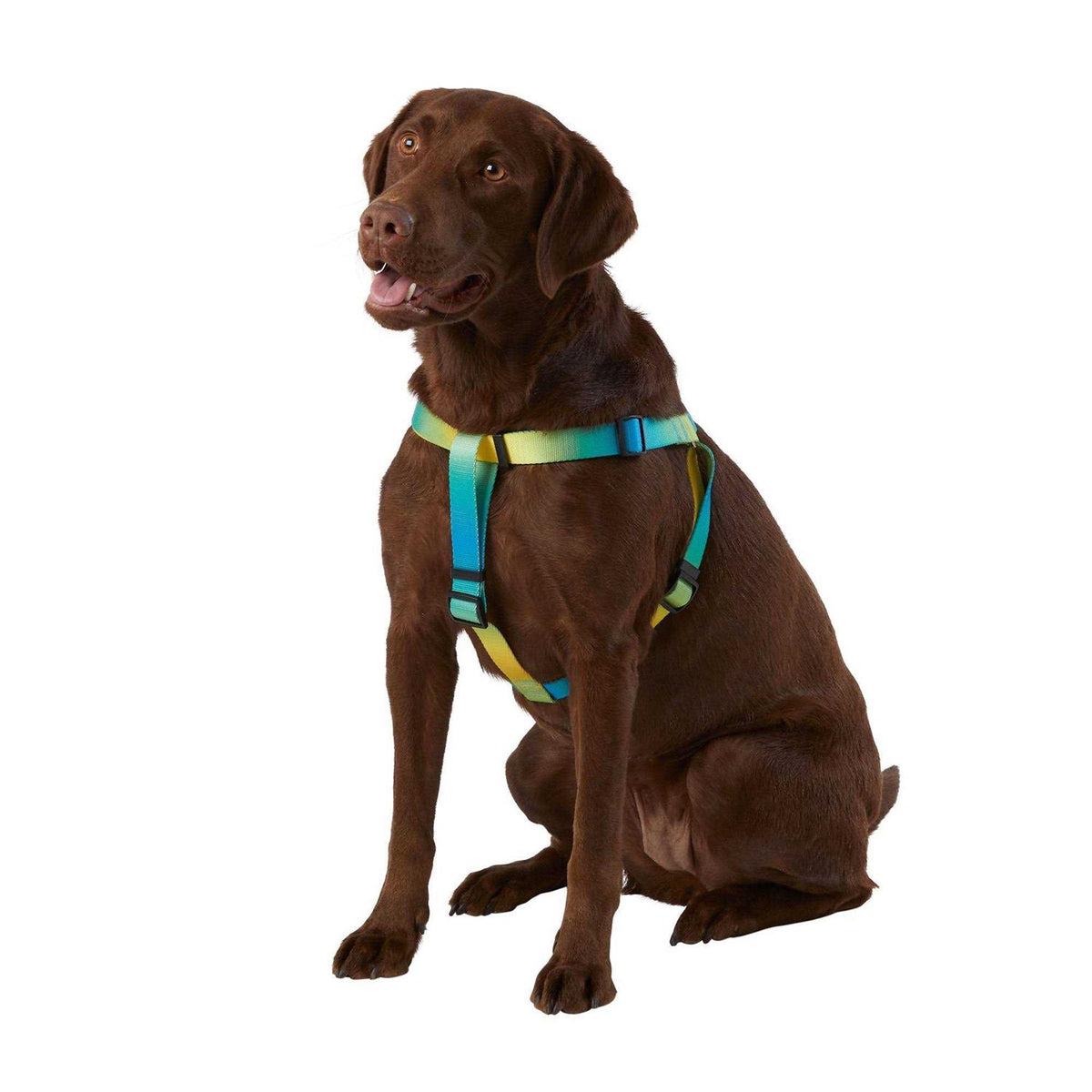 Dog Harness Y494