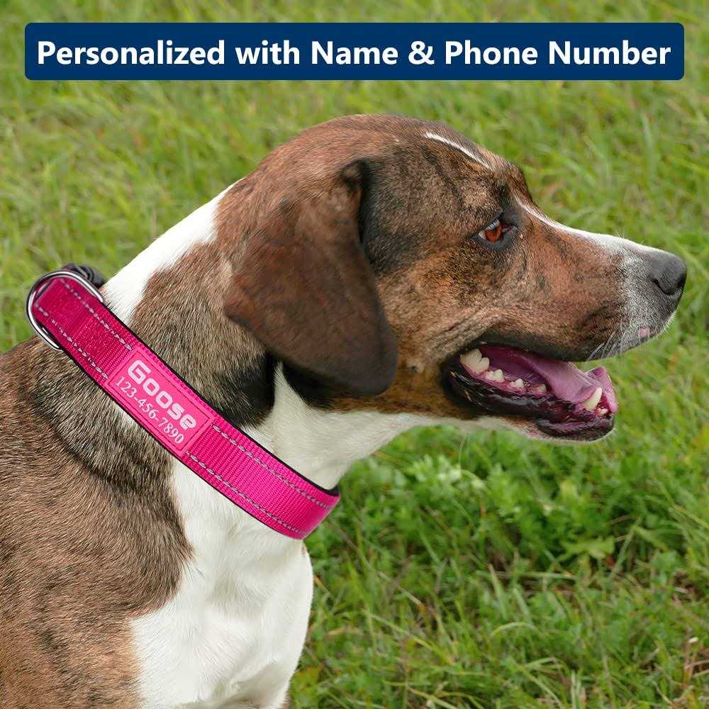 Reflective Nylon Dog Collar Y482157